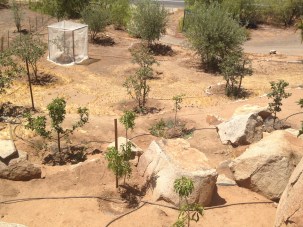 Fruits of all Kinds Abound