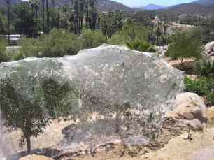 The Fruits of our labors.