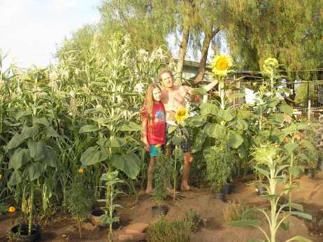 "Of all flowers, it is the human flower that is most in need of sun,"